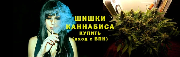 spice Няндома