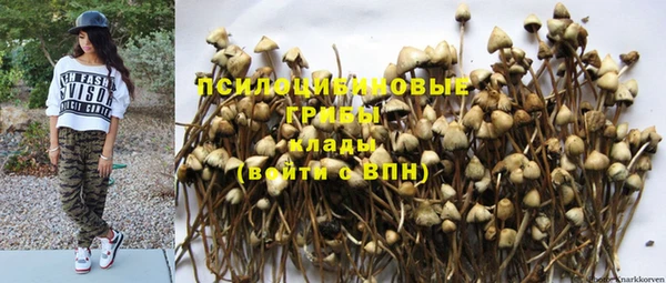 метадон Нягань