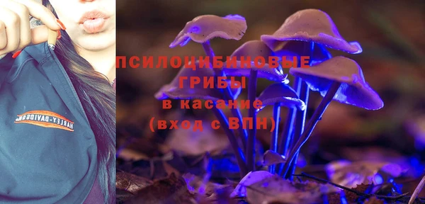 мескалин Нязепетровск
