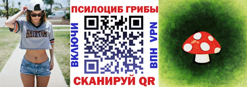 Галлюциногенные грибы Psilocybine cubensis  Магнитогорск 