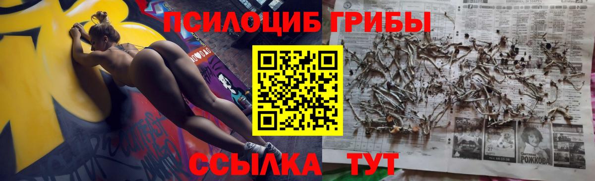 Галлюциногенные грибы Psilocybine cubensis  цены   Магнитогорск  Псилоцибиновые грибы MAGIC MUSHROOMS  Вход с VPN 